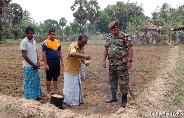 புதுக்குடியிருப்பில் கைவிடப்பட்ட வயல்களில் இராணுவ ஆதரவுடன் பயிர் செய்கை