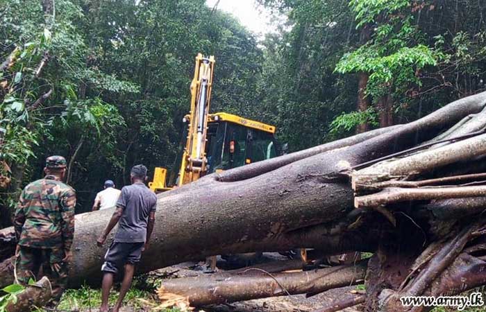 4 SLLI Troops Clear Fallen Tree & Restore Traffic within Hours
