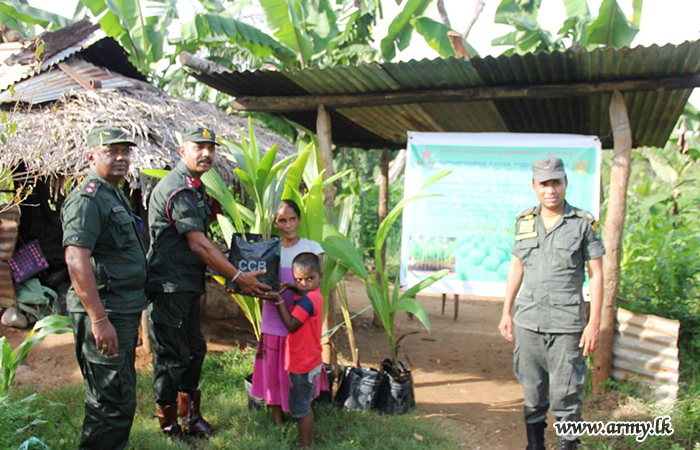 Wanni Troops Busy Planting Hundreds of Coconut Saplings 