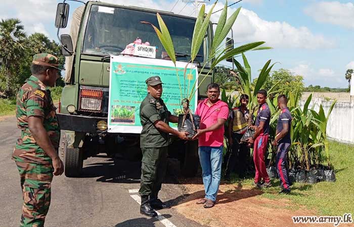 More Coconut Saplings Distributed in Mannar