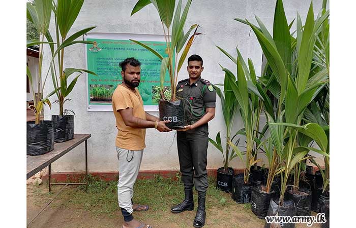 563 Infantry Brigade Troops Join Distribution of Coconut Saplings