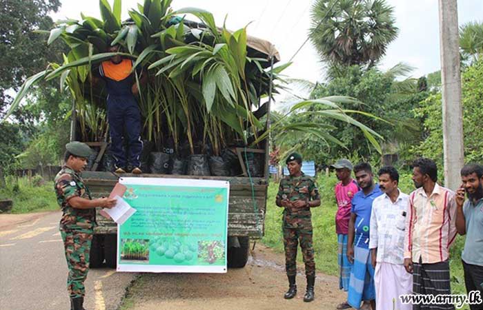 Wanni Troops Give away 1000 More Coconut Saplings to Civilians 