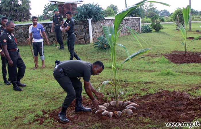 Planting of Coconut Saplings by 561 Infantry Brigade