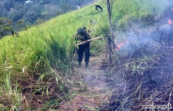 Troops of 5 GW Thwart Wildfire in Wellawaya