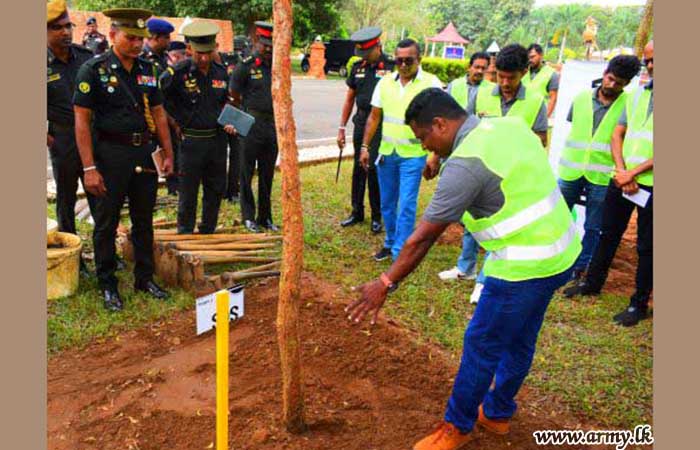53 Infantry Division Launches Red Sandalwood Fertilization Project