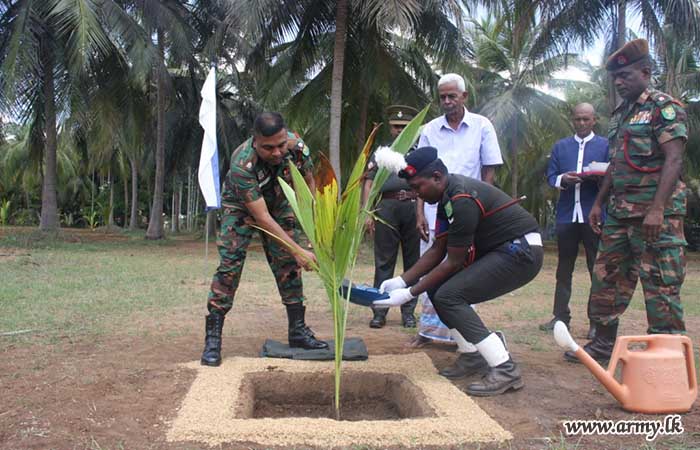 17 (V) SLLI Organized Coconut Saplings Planting Programme