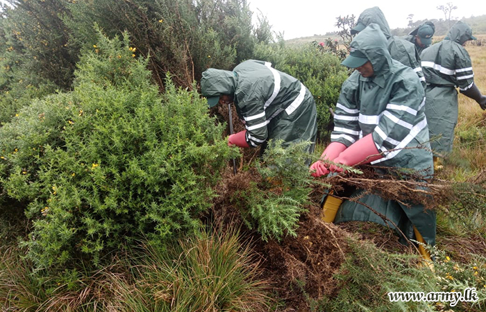 SF (Cen) Troops Conduct a Cleaning Programme in the Horton Plains National Park 