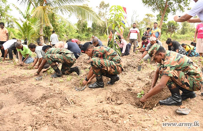 Cinnamon Plants Distributed in Security Force (Wanni) Area