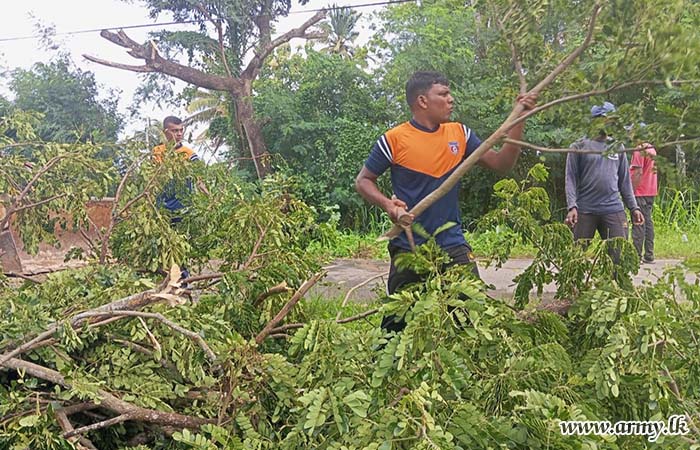 Tree Removal for Community Safety by 12 Infantry Division