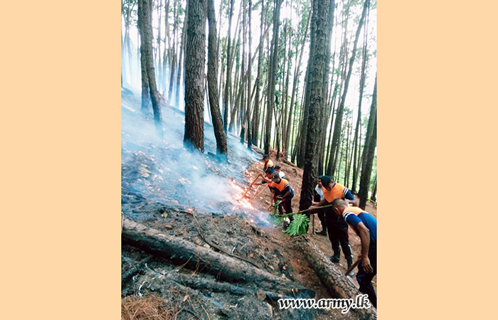 ආරක්‍ෂක සේනා මූලස්ථානය -මධ්‍යම භටපිරිස් විසින් හල්දුම්මුල්ල රක්‍ෂිතයේ හටගත් ගින්නක් පාලනය කරයි
