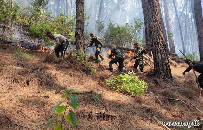 Central Troops Extinguish Sudden Bush Fire