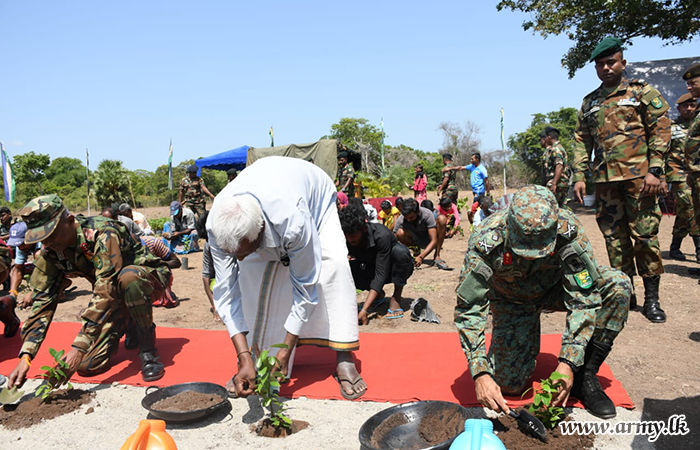 Security Forces - Wanni Troops Continue the Cinnamon Cultivation in Vavuniya