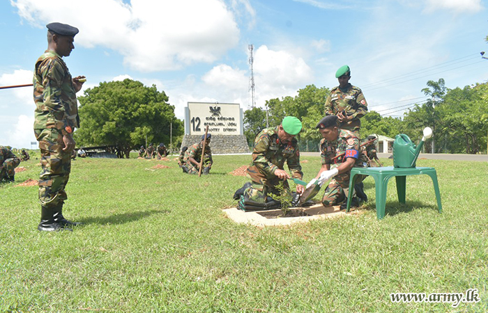 12 Infantry Division Plants 5,000 Saplings