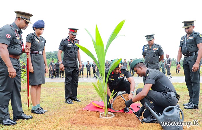 ශ්‍රි ලංකා යුද්ධ හමුදා ස්වේච්ඡා බලසේනාව විසින් පොල් පැළ 500ක් සිටුවා ලෝක පොල් දිනය සමරයි