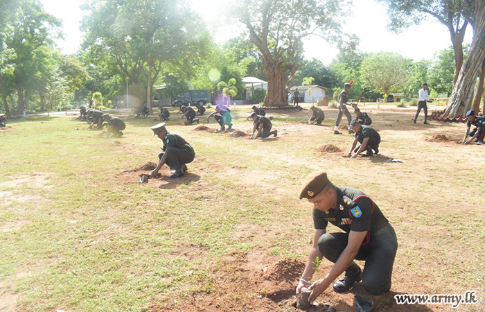 23 පාබල සේනාංක මූලස්ථාන පරිශ්‍රයේ රුක් රෝපණ වැඩසටහනක්