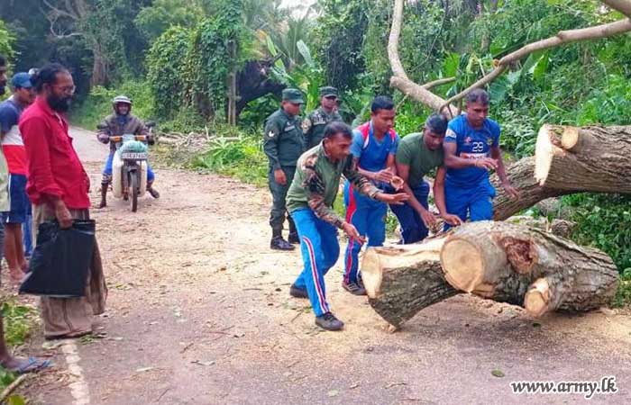 Troops Clear Fallen Trees to Restore Transportation in Wanni