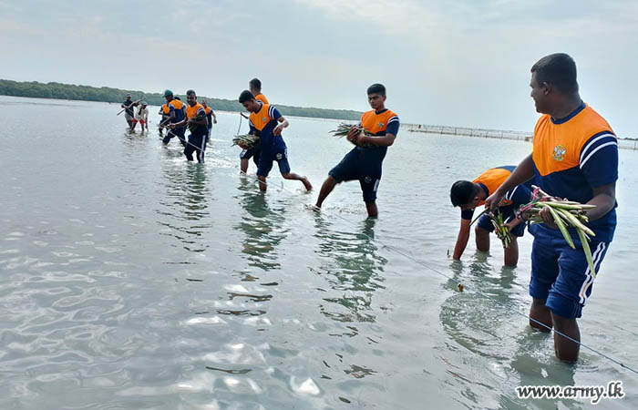 Troops of 16 GR Conduct Tree Planting Programme