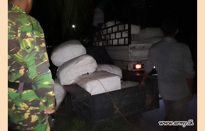 Largest Cache of Foreign-Manufactured Pesticides Confiscated