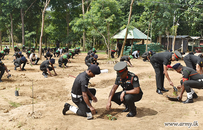 53 Infantry Division Conducts Tree Planting Programme