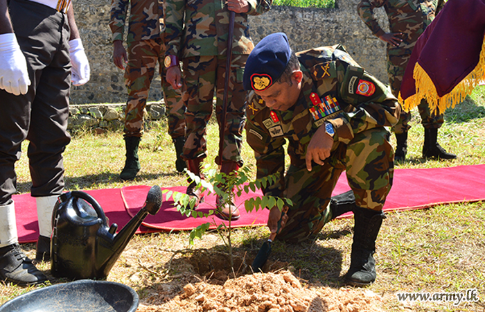 Islandwide Army Establishments Mark World Environment Day with Tree Planting