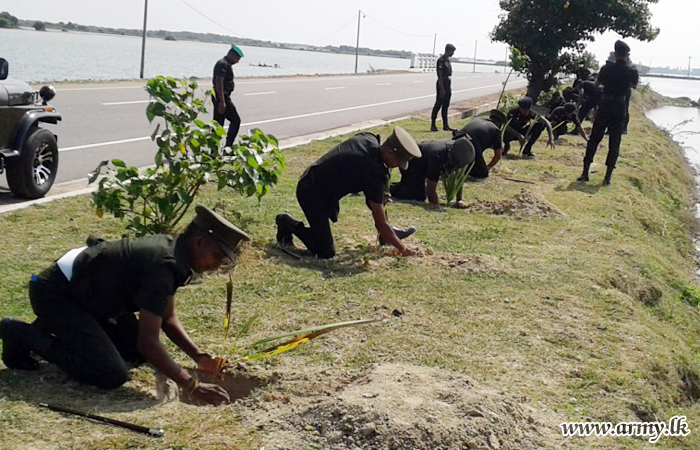 යාපනයේ භට පිරිස් නිදහස් දිනයට සමගාමීව රුක් රෝපණ වැඩසටහනක