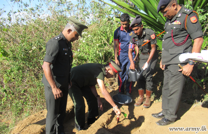 Army Personnel Assist National Tree Planting in Bandarawela