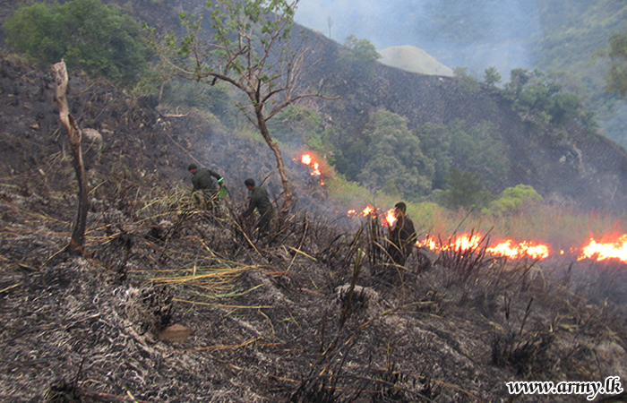 Ella Forest Reserve Wildfire Brought under Control 