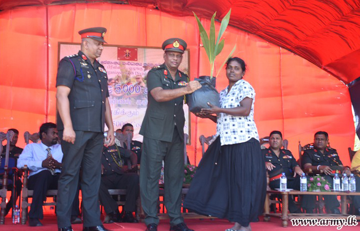 First Phase of Distribution of Coconut Saplings in Mullaittivu Launched  