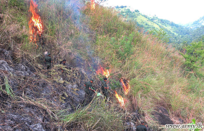 Troops Douse Forest Fire in Dowa