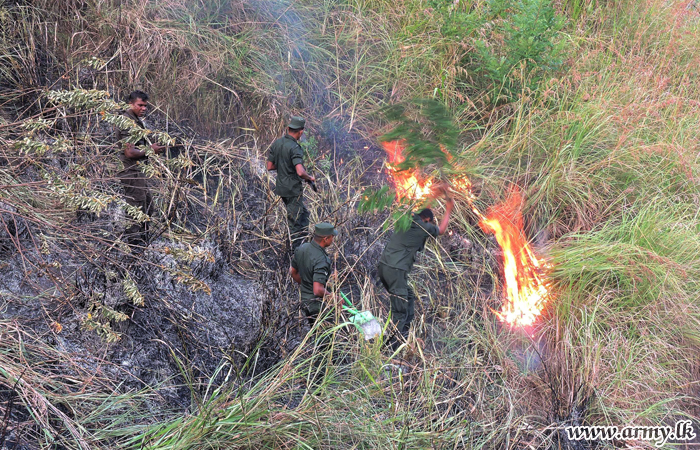 දෝව ප්‍රදේශයේ හදිසියේ ඇතිවූ ලැව් ගින්න මැඩපැවත්වීමට යුද්ධ හමුදාවේ සහය