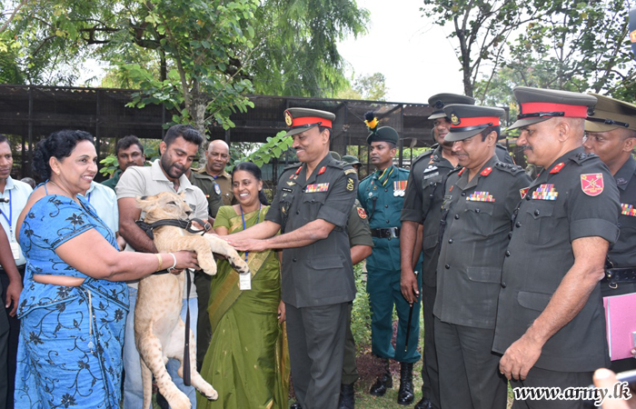 சிங்க படையணியின்  3 வது சிங்ககுட்டி ''கோகர்' விற்கு அம்பேபுஸ்ஸவில் வரவேற்பு