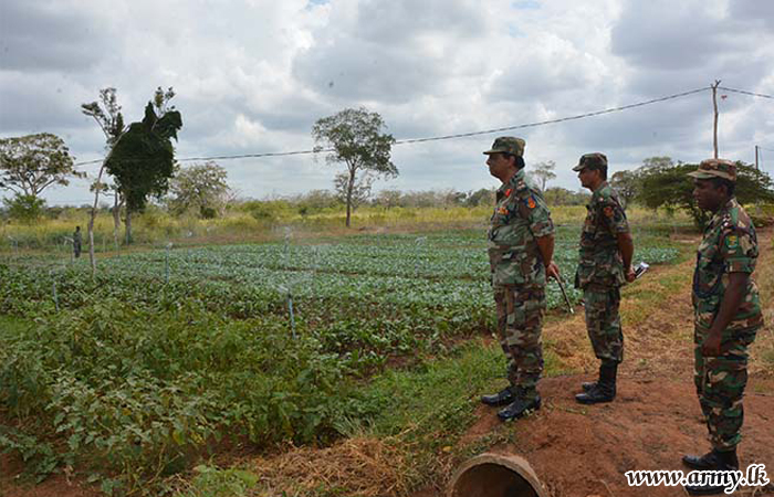 Progress in Manik Farm Evaluated