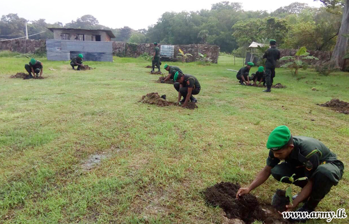 14 සේනාංකය ‘රණවිරු හරිත අරණ’ රුක් රෝපණ වැඩසටහන සඳහා එක්වෙයි