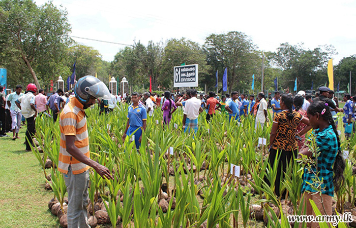 Seedlings of Economic Value Distributed Free of Charge in Vavuniya