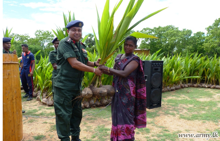 படையினரால் தென்னை மரக் கன்றுகள் பகிர்ந்தளிப்பு 