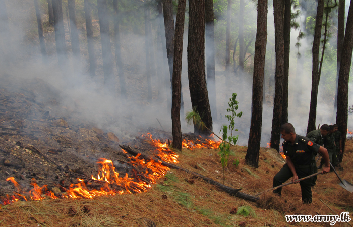 Central Troops Bring Bushfires atop Hills Under Control