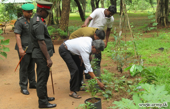 Ayurvedic Administrators Visit 61 Division Herbal Garden