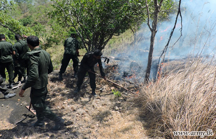 Troops Assist to Douse Fire at Talawakele