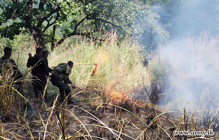 Central Troops Bring Bush Fires Under Control 