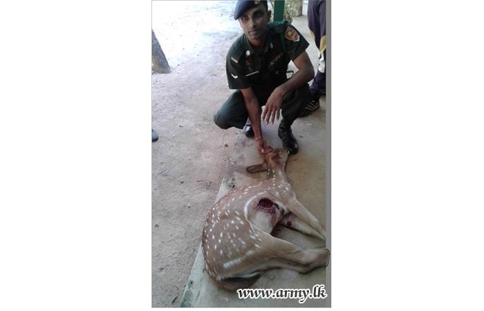 Concerned Soldiers Give Life Back to Injured Hind 