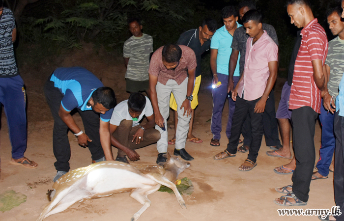 Screaming Injured Deer’s Life Saved 