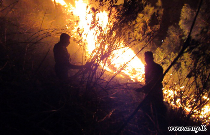 Bush Fire in Divithotawela Brought Under Control 