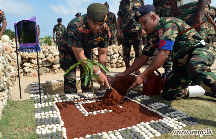 Jaffna Troops Also Contribute to Environment Conservation