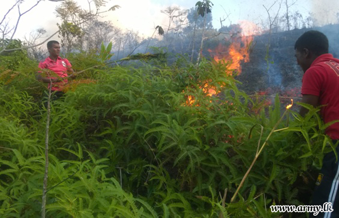 Troops Swiftly Respond to Wildfires & Douse Them 