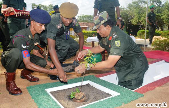 SFHQ-E Takes Initiative in Planting Indigenous Medicinal Plants