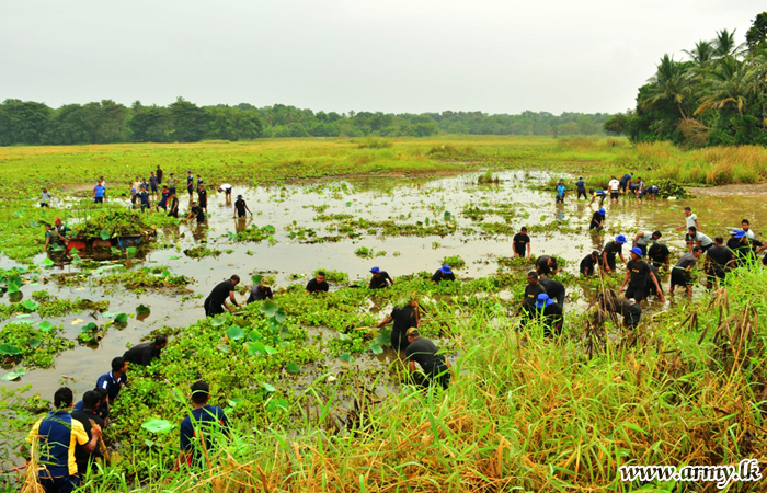 Troops Give Lead to Hingurakgoda 'Chandana Pokuna' Tank Clearing & Renovation