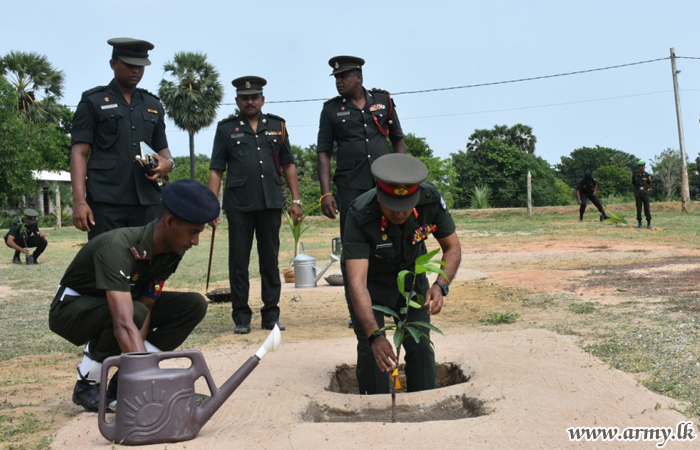 MLT Troops Take the Lead in Cultivating Mango & Coconut Saplings  