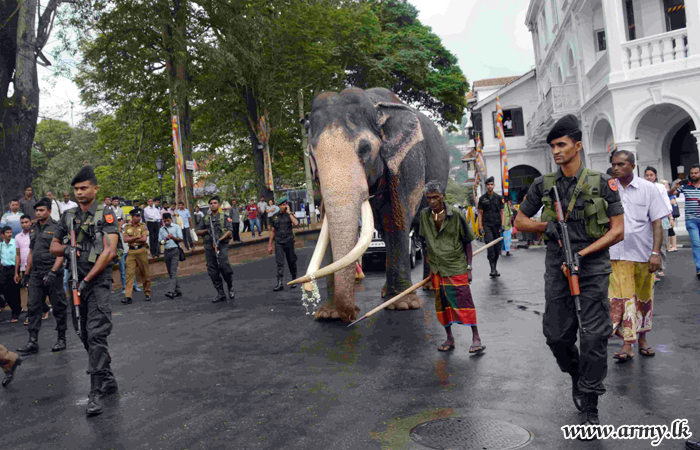 Sinha Regiment Troops Escort Iconic ‘Nedungamuwe Raja’ to Kandy