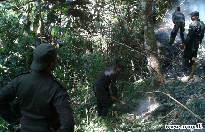 Two More Bush Fires Brought Under Control   