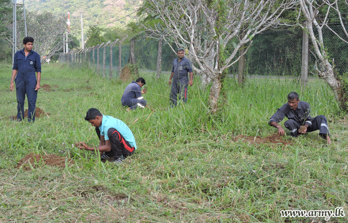 Central Troops Join Tree Planting